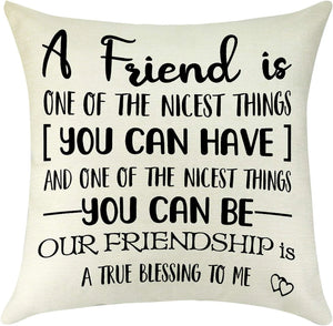 A Friend Is One Of The Nicest Things You Can Have Pillow
